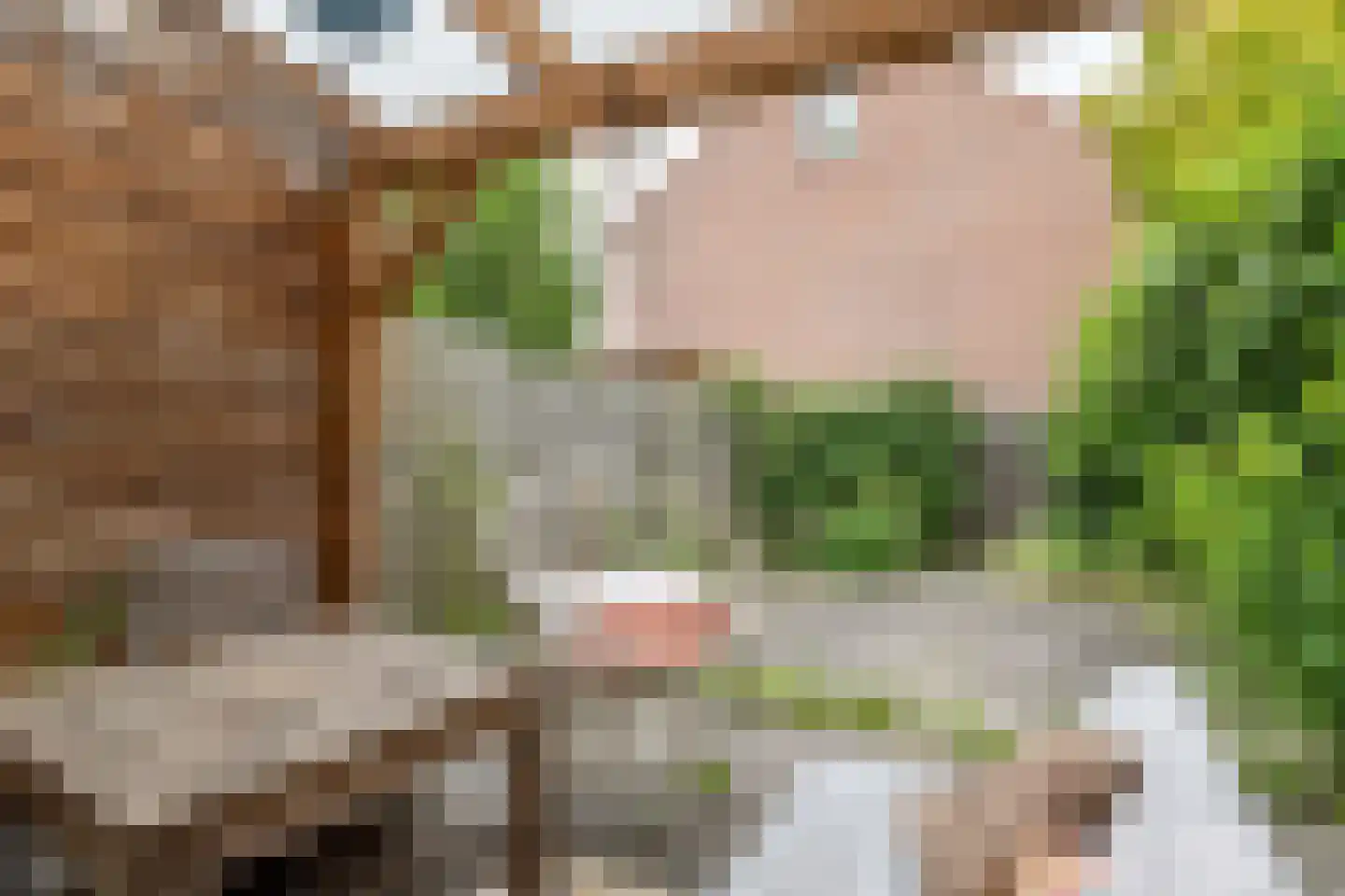 Hoefijzer 96 Zwaag thumbnail 19