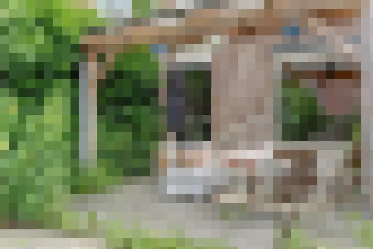 Hoefijzer 96 Zwaag thumbnail 20