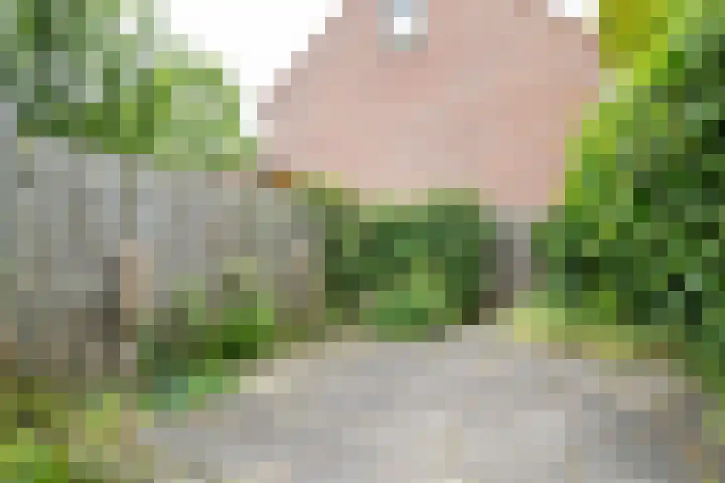Hoefijzer 96 Zwaag thumbnail 21