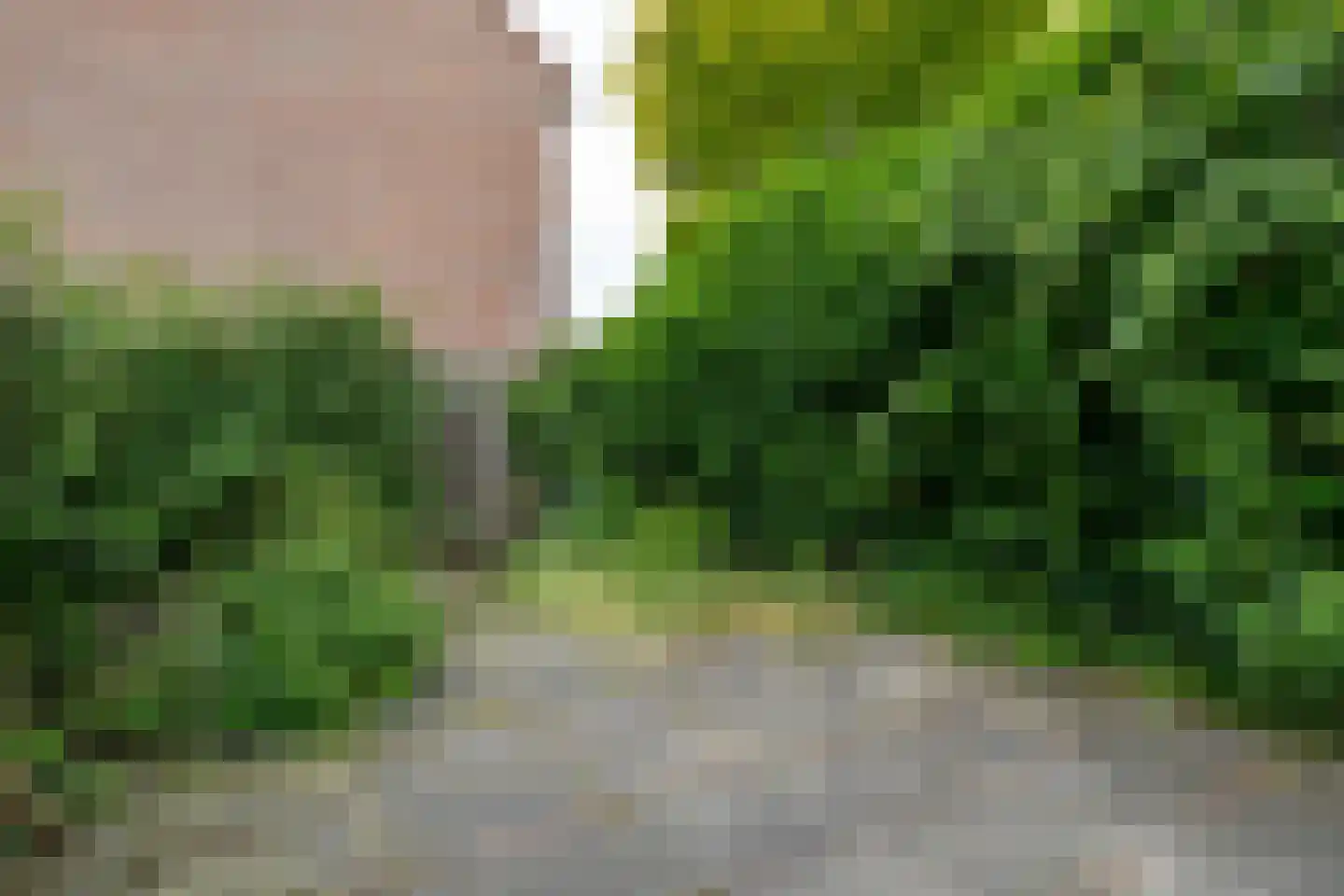 Hoefijzer 96 Zwaag thumbnail 22