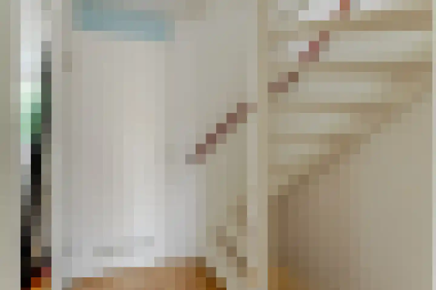 Hoefijzer 96 Zwaag thumbnail 23