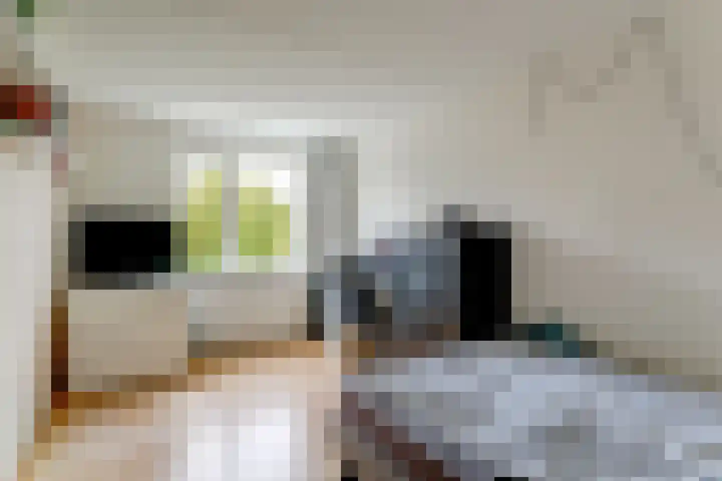 Hoefijzer 96 Zwaag thumbnail 24