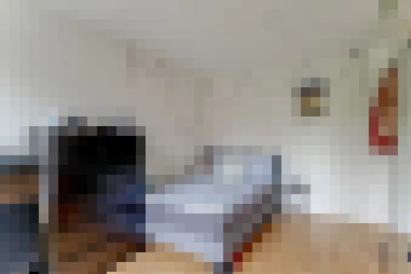 Hoefijzer 96 Zwaag thumbnail 25