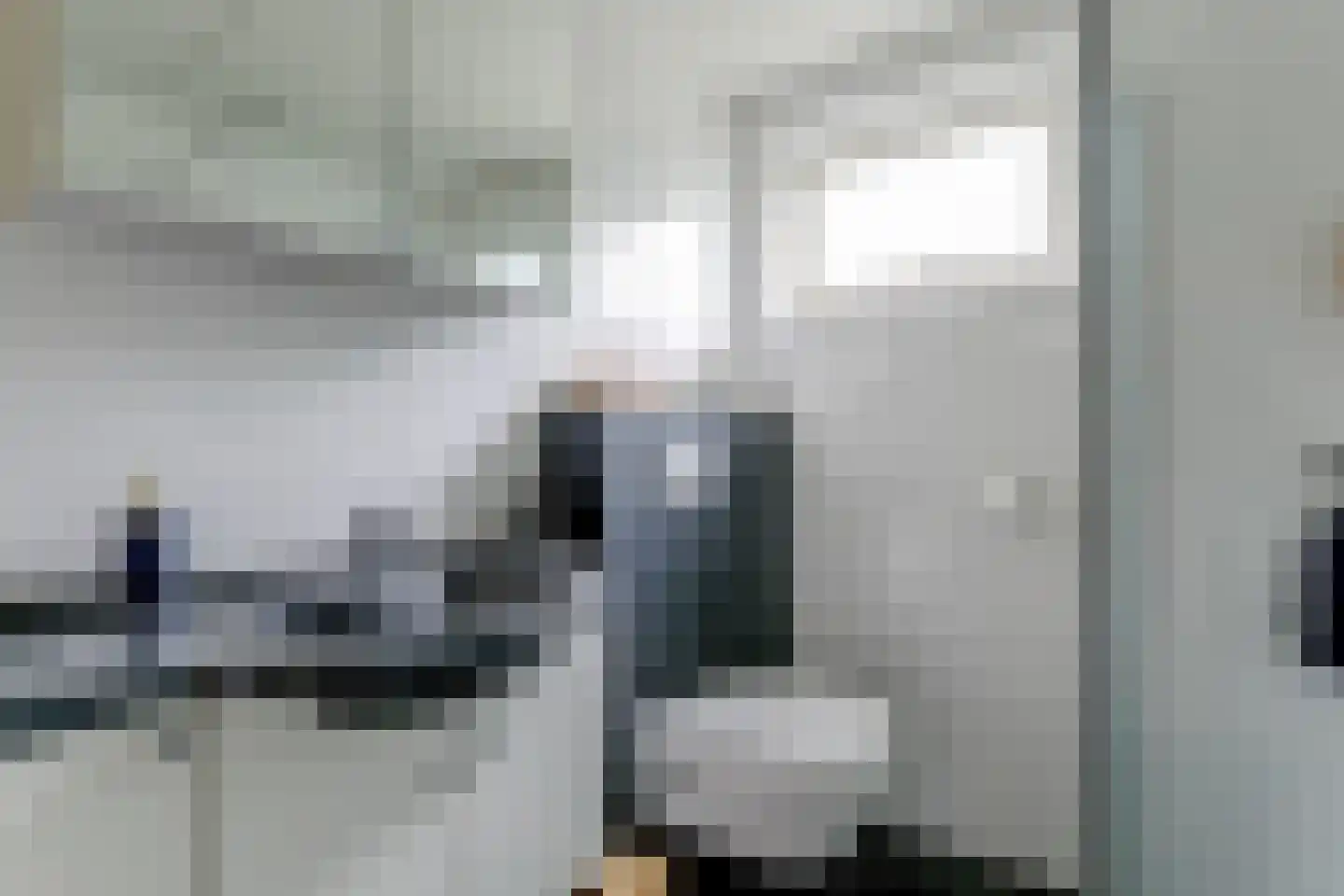 Hoefijzer 96 Zwaag thumbnail 28