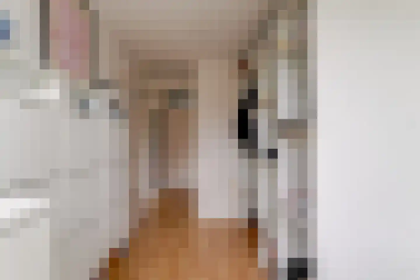 Hoefijzer 96 Zwaag thumbnail 31