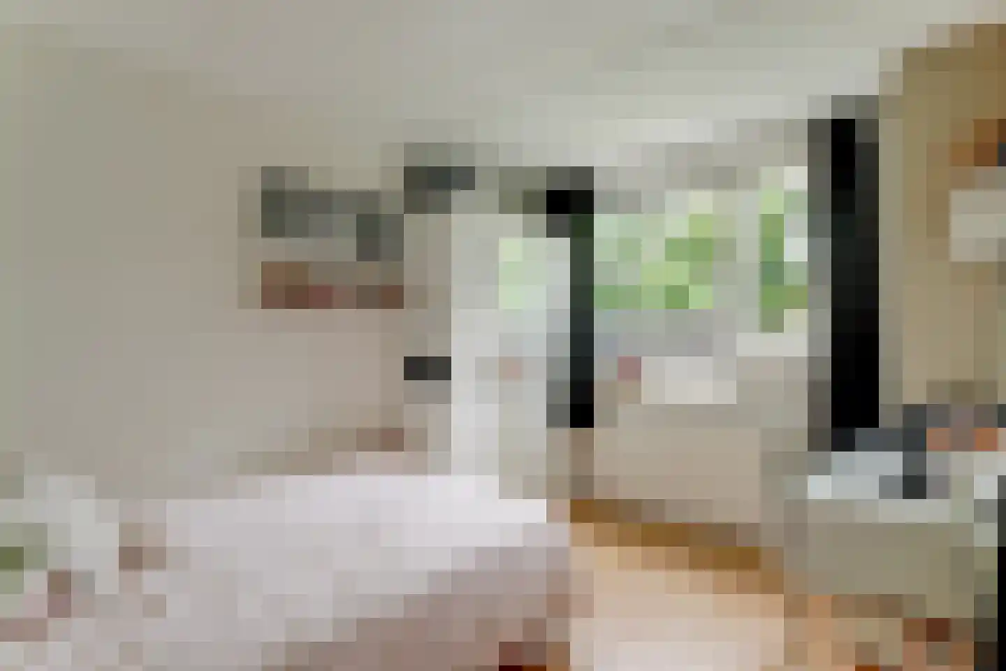 Hoefijzer 96 Zwaag thumbnail 32