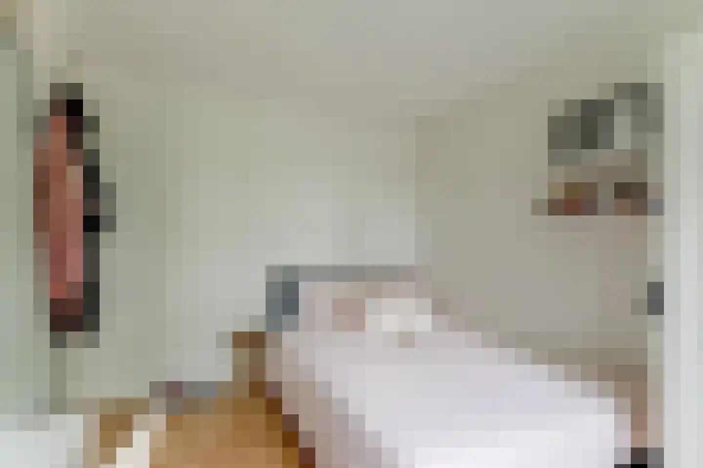 Hoefijzer 96 Zwaag thumbnail 33
