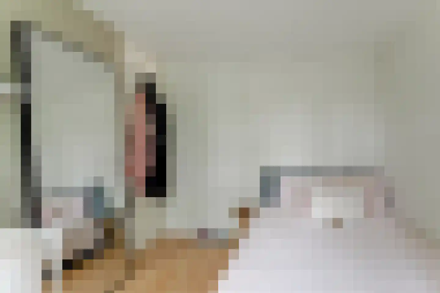 Hoefijzer 96 Zwaag thumbnail 34