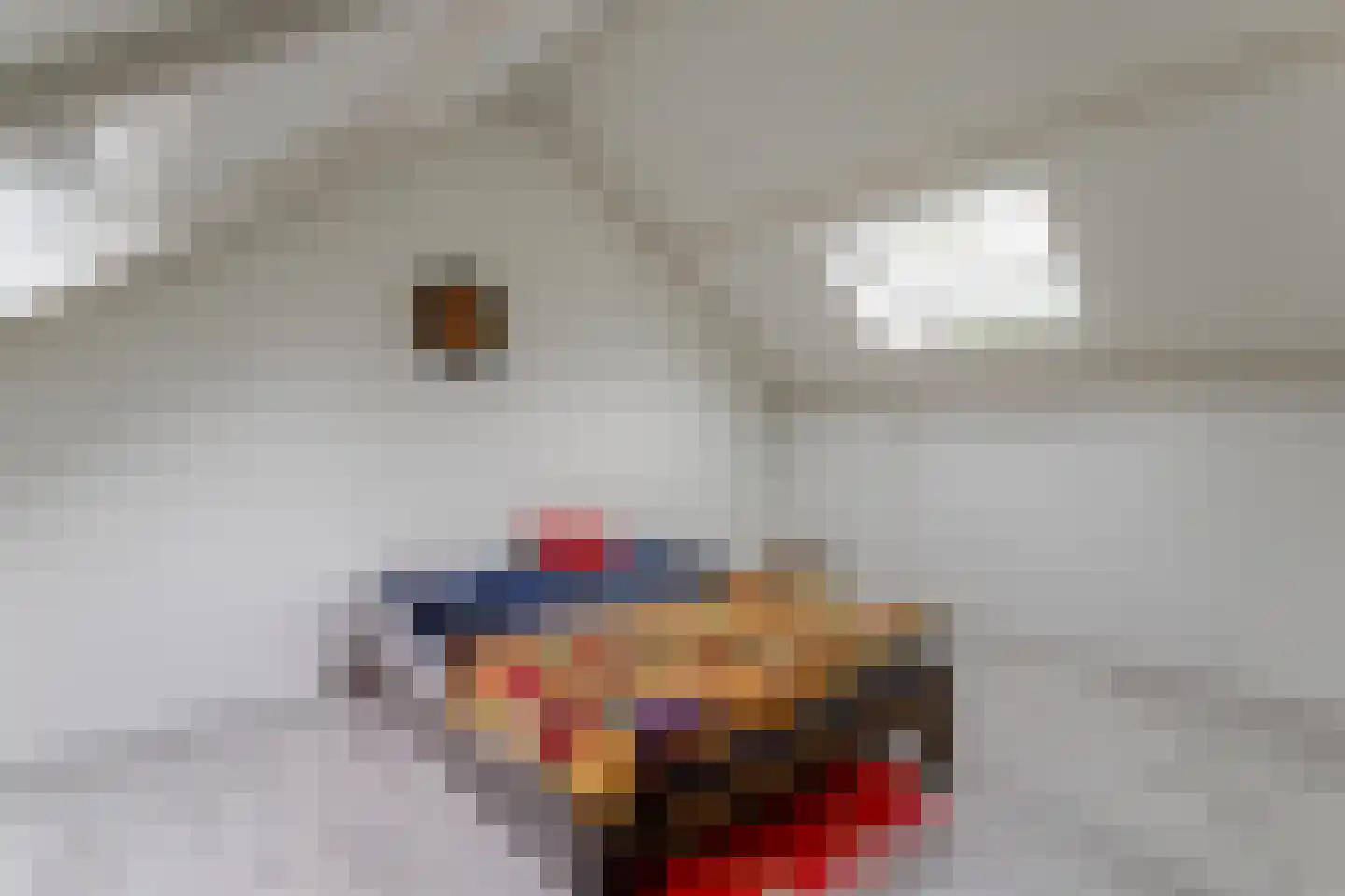 Hoefijzer 96 Zwaag thumbnail 36