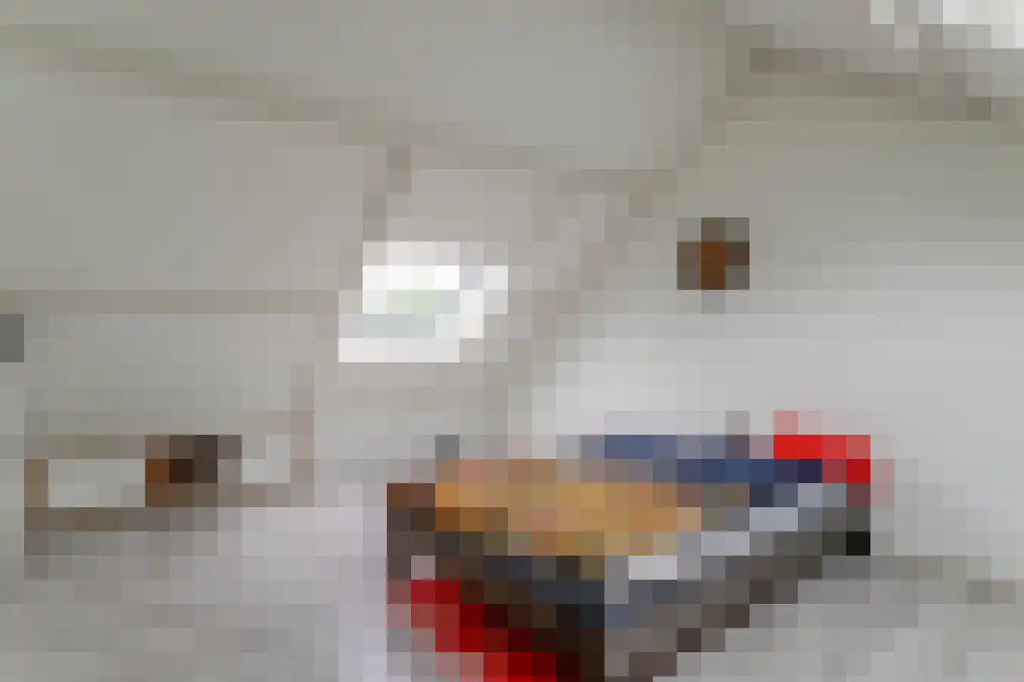 Hoefijzer 96 Zwaag thumbnail 38