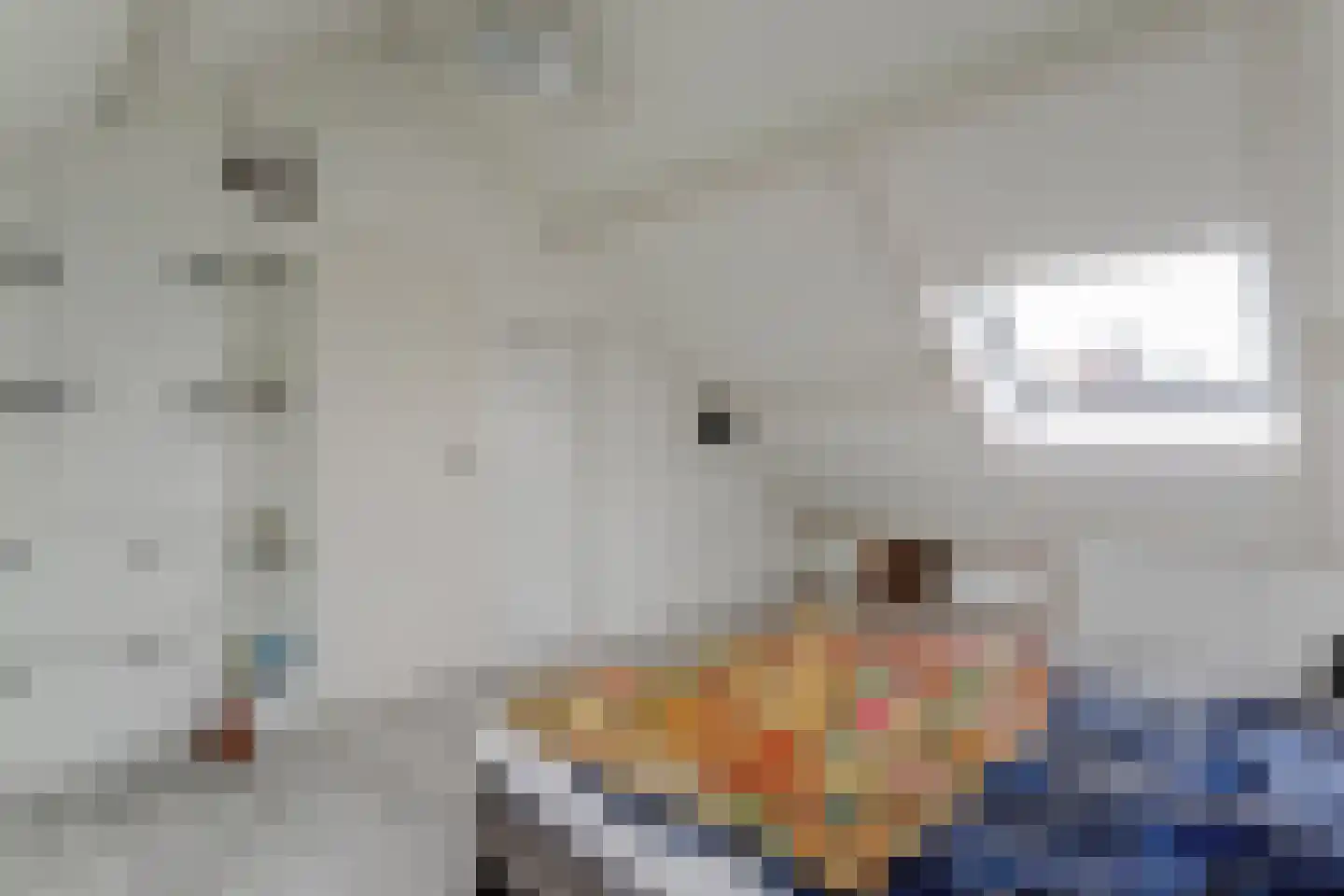 Hoefijzer 96 Zwaag thumbnail 39