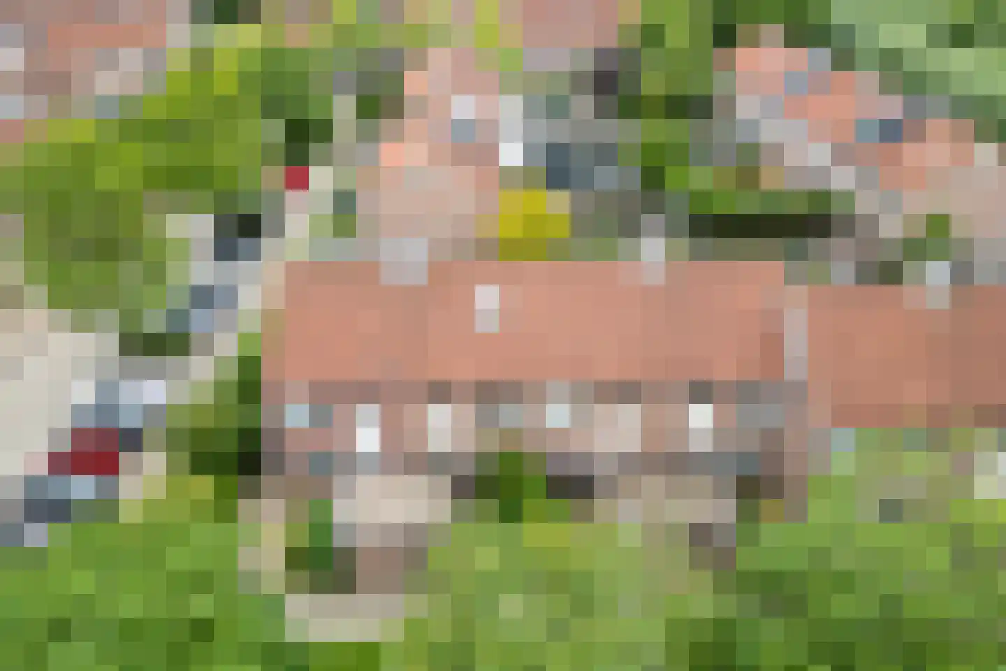 Hoefijzer 96 Zwaag thumbnail 40