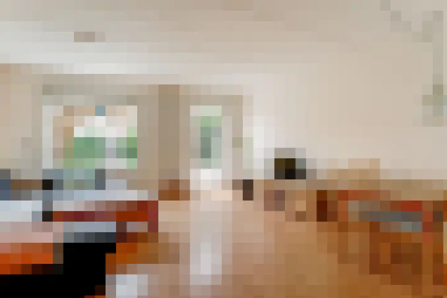 Hoefijzer 96 Zwaag thumbnail 5