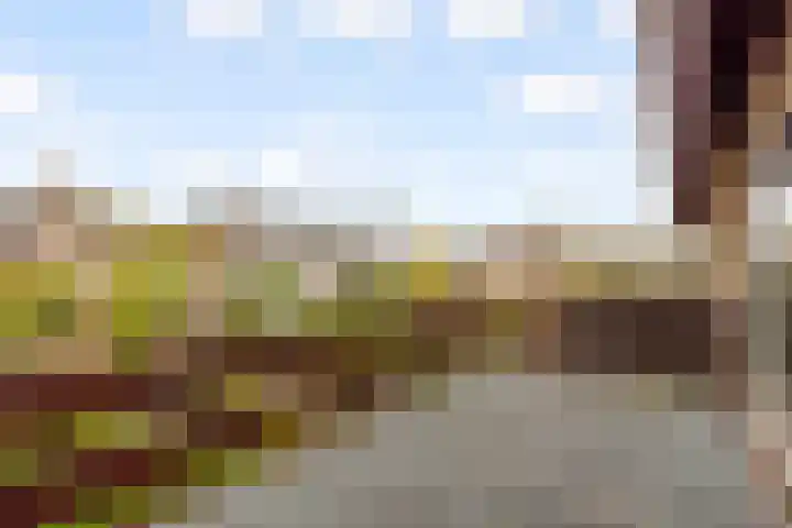 Hoefijzerlaan 43 Bunnik thumbnail 37