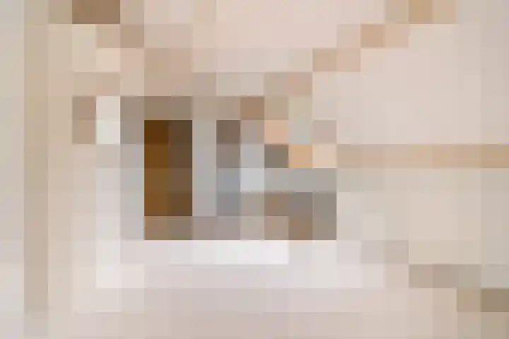 Hoefijzerlaan 43 Bunnik thumbnail 48