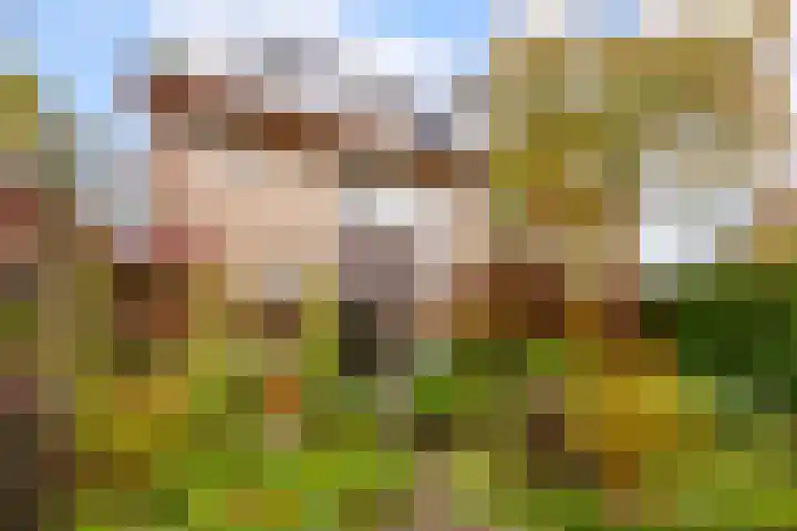 Hoefijzerlaan 43 Bunnik thumbnail 57