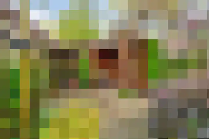 Hoefijzerlaan 43 Bunnik thumbnail 58