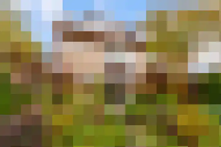 Hoefijzerlaan 43 Bunnik thumbnail 59