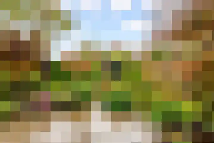 Hoefijzerlaan 43 Bunnik thumbnail 63