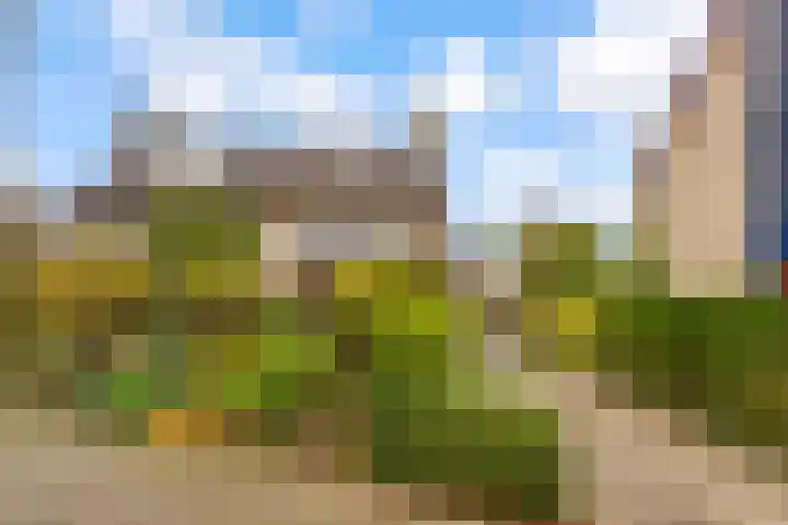 Hoefijzerlaan 43 Bunnik thumbnail 64