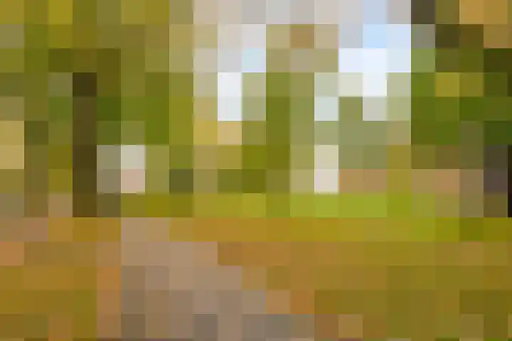 Hoefijzerlaan 43 Bunnik thumbnail 66