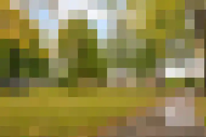 Hoefijzerlaan 43 Bunnik thumbnail 67