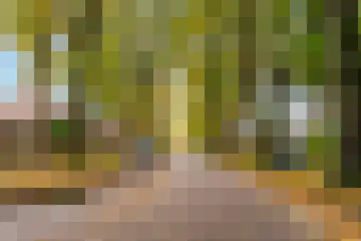 Hoefijzerlaan 43 Bunnik thumbnail 68