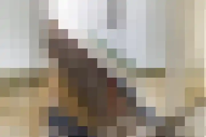 Hoefijzerstraat 74 Utrecht thumbnail 8