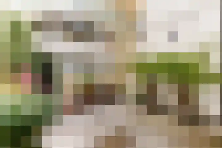 Hoefijzerstraat 74 Utrecht thumbnail 9