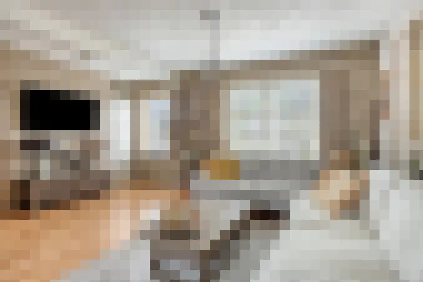 Hoefje 14 Nieuwe Niedorp thumbnail 11