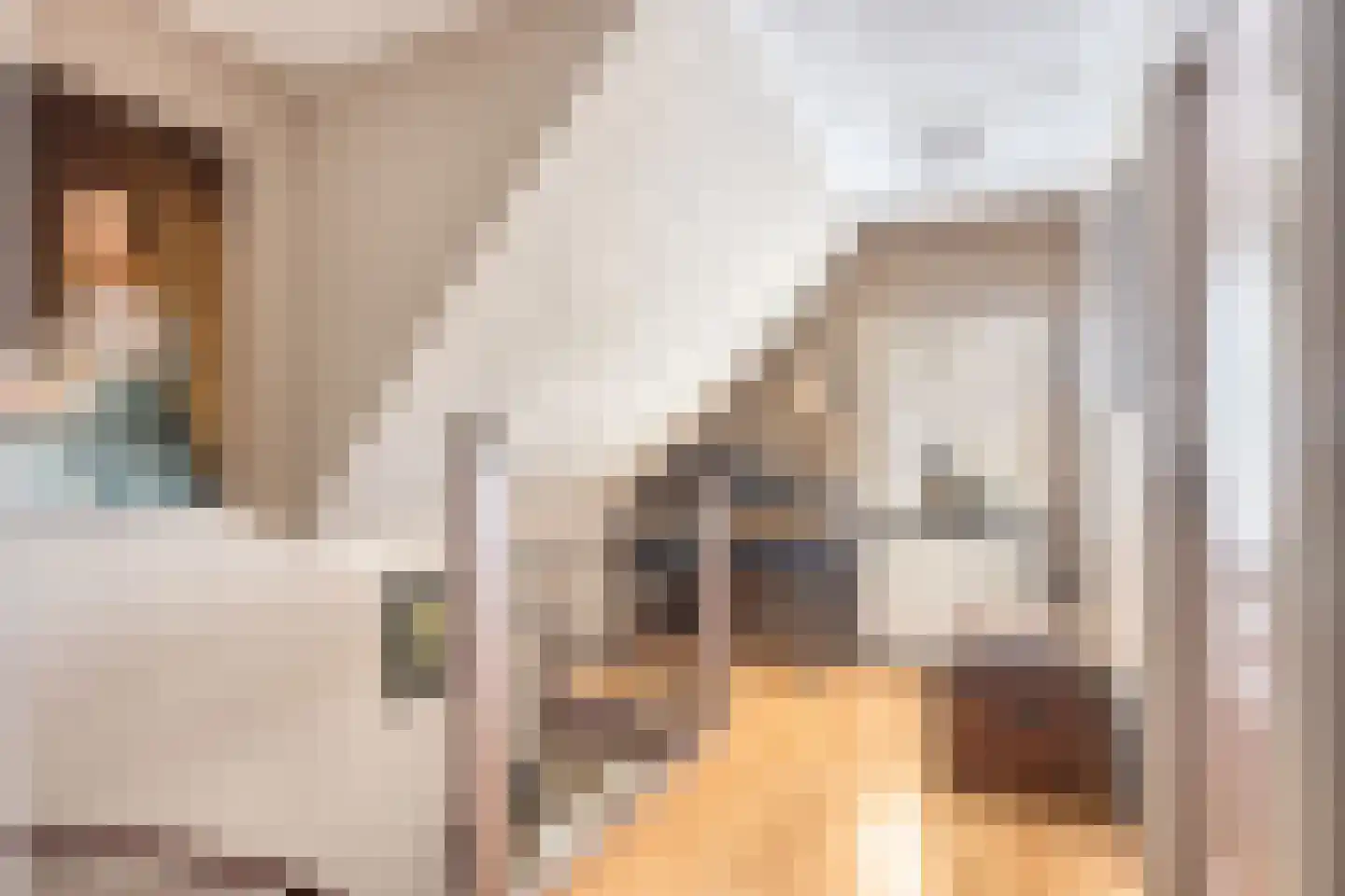 Hoefje 14 Nieuwe Niedorp thumbnail 24