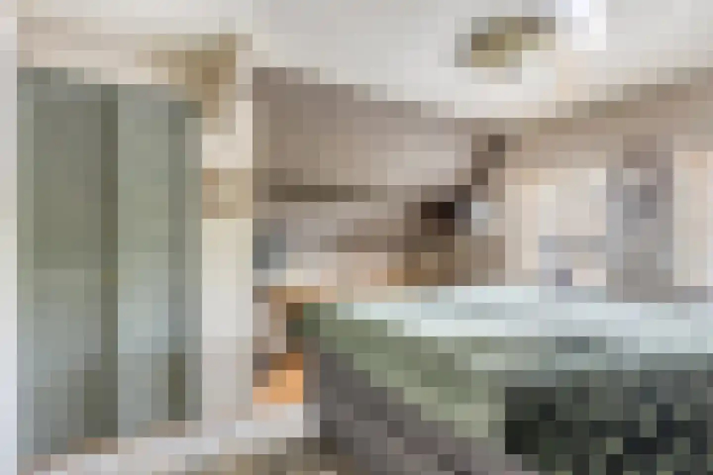 Hoefje 14 Nieuwe Niedorp thumbnail 25