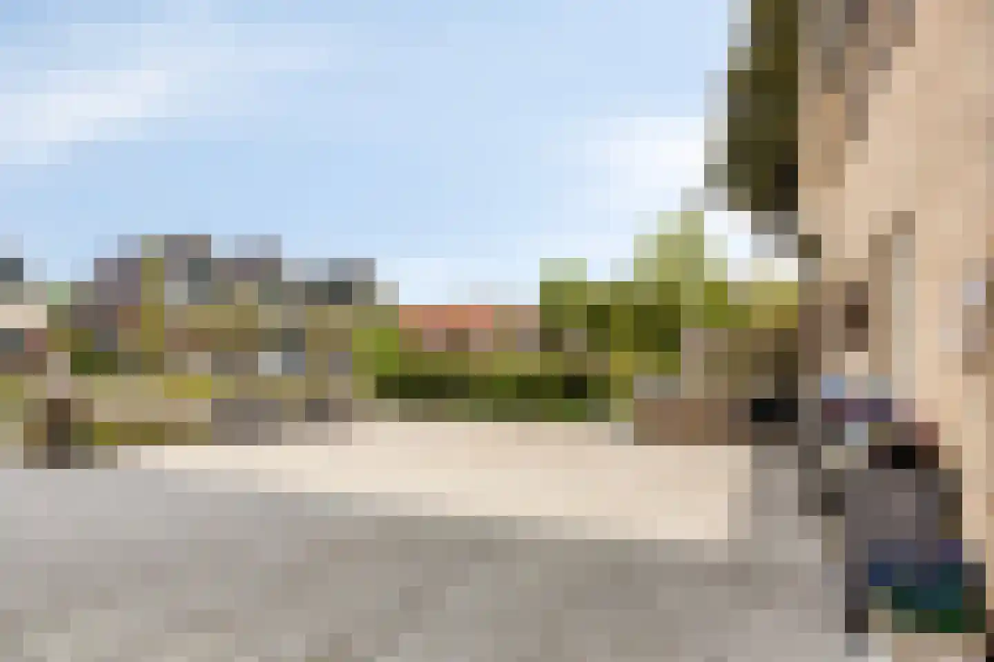 Hoefje 14 Nieuwe Niedorp thumbnail 8