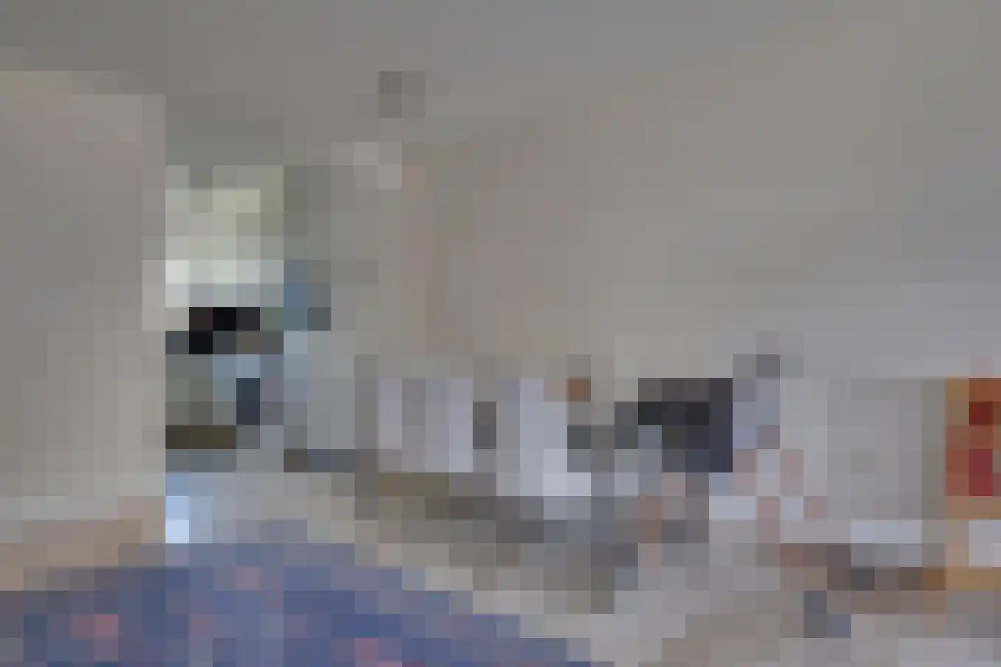 Hoefjes 15 Giesbeek thumbnail 14