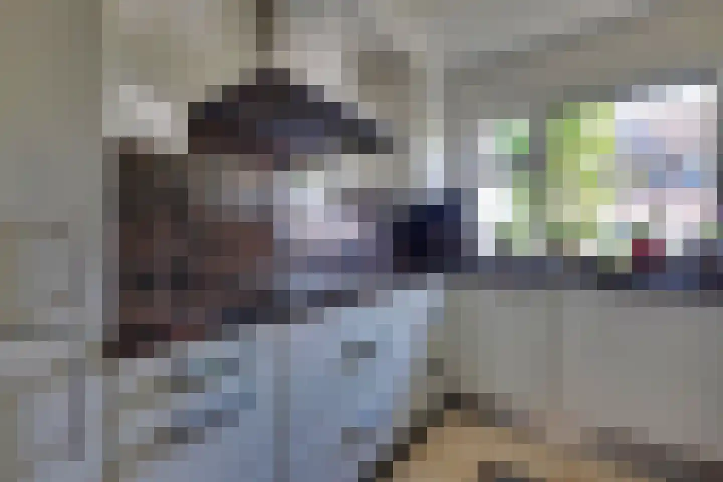 Hoefjes 15 Giesbeek thumbnail 15