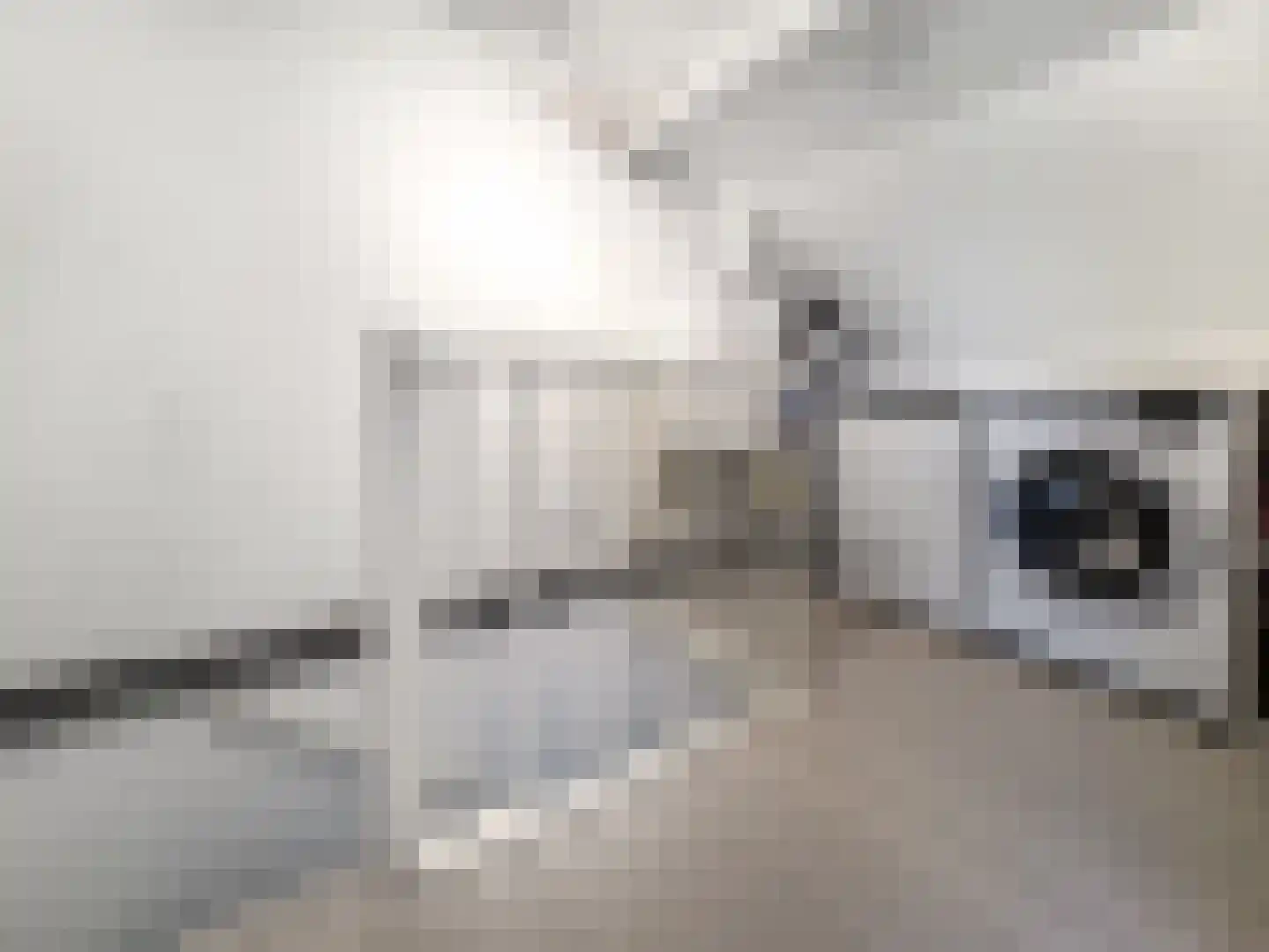 Hoefjes 15 Giesbeek thumbnail 28