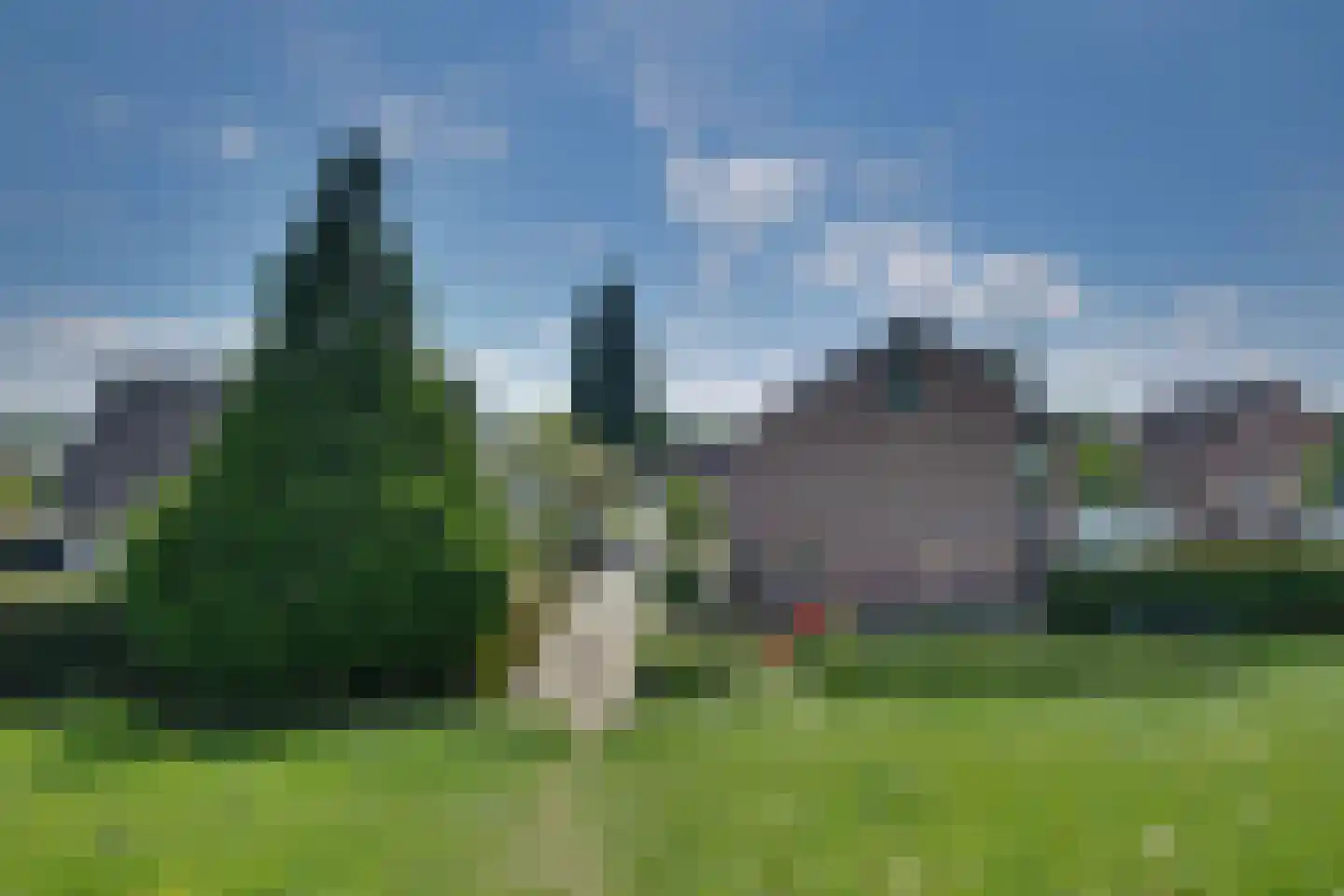 Hoefjes 15 Giesbeek thumbnail 32