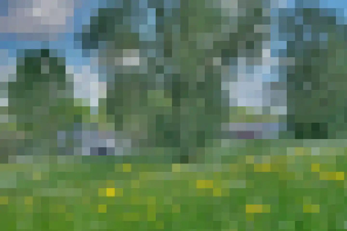 Hoefjes 15 Giesbeek thumbnail 34