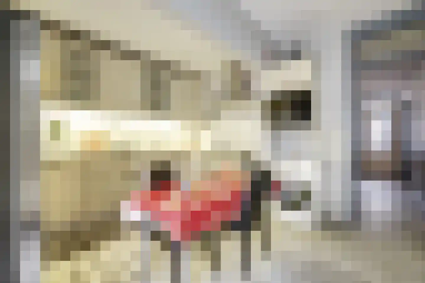 Hoefkade 1041 Den Haag thumbnail 10