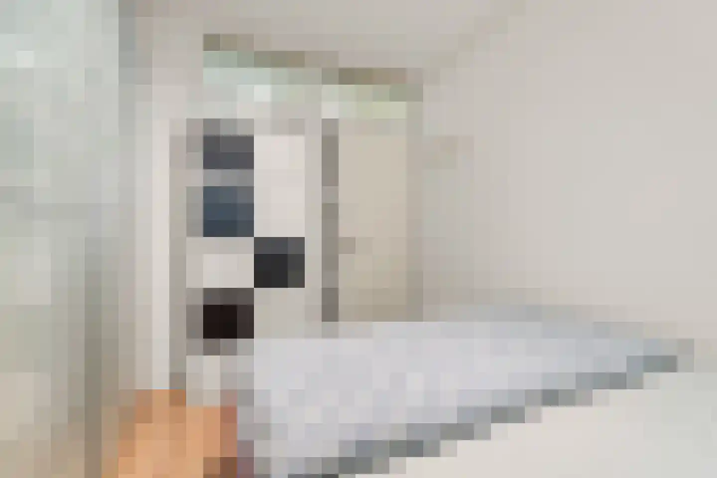 Hoefkade 1043 Den Haag thumbnail 12