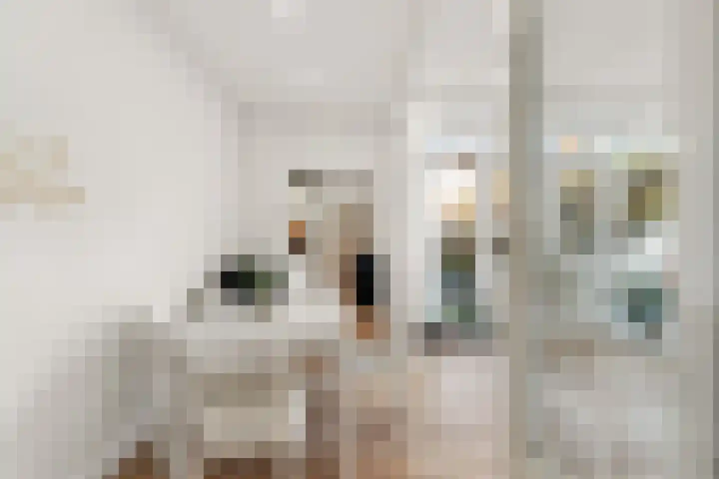 Hoefkade 1043 Den Haag thumbnail 26