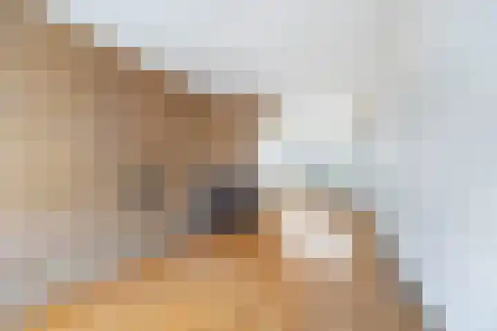 Hoefkade 1240 Den Haag thumbnail 7