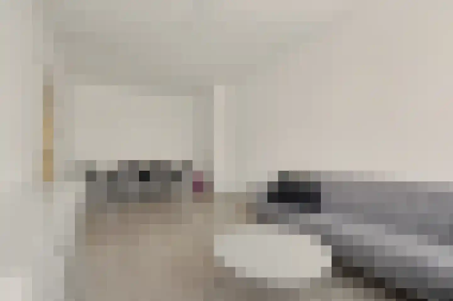 Hoefkade 1474 Den Haag thumbnail 13