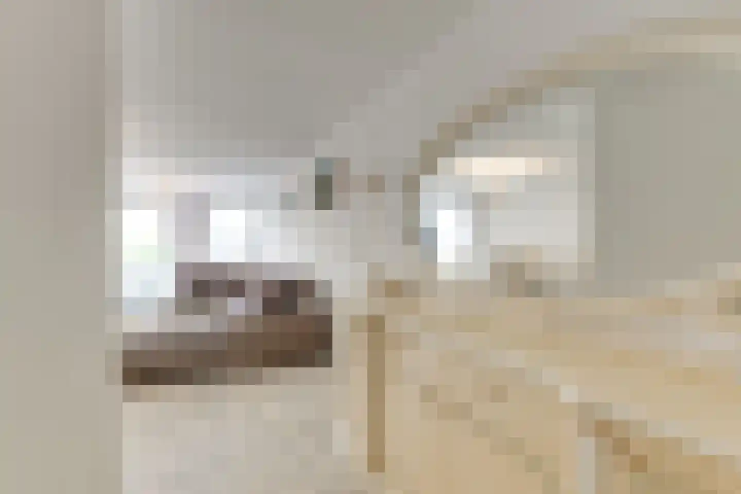 Hoefkade 495 A Den Haag thumbnail 11