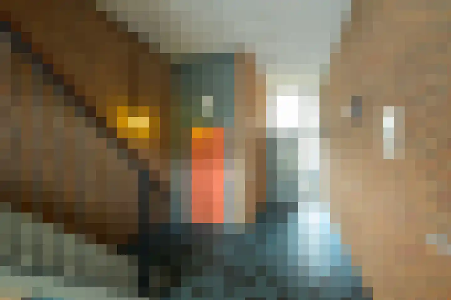 Hoefkade 495 A Den Haag thumbnail 8