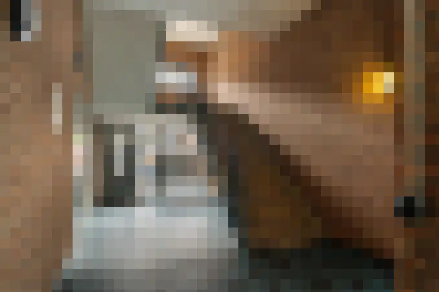 Hoefkade 509 A Den Haag thumbnail 8