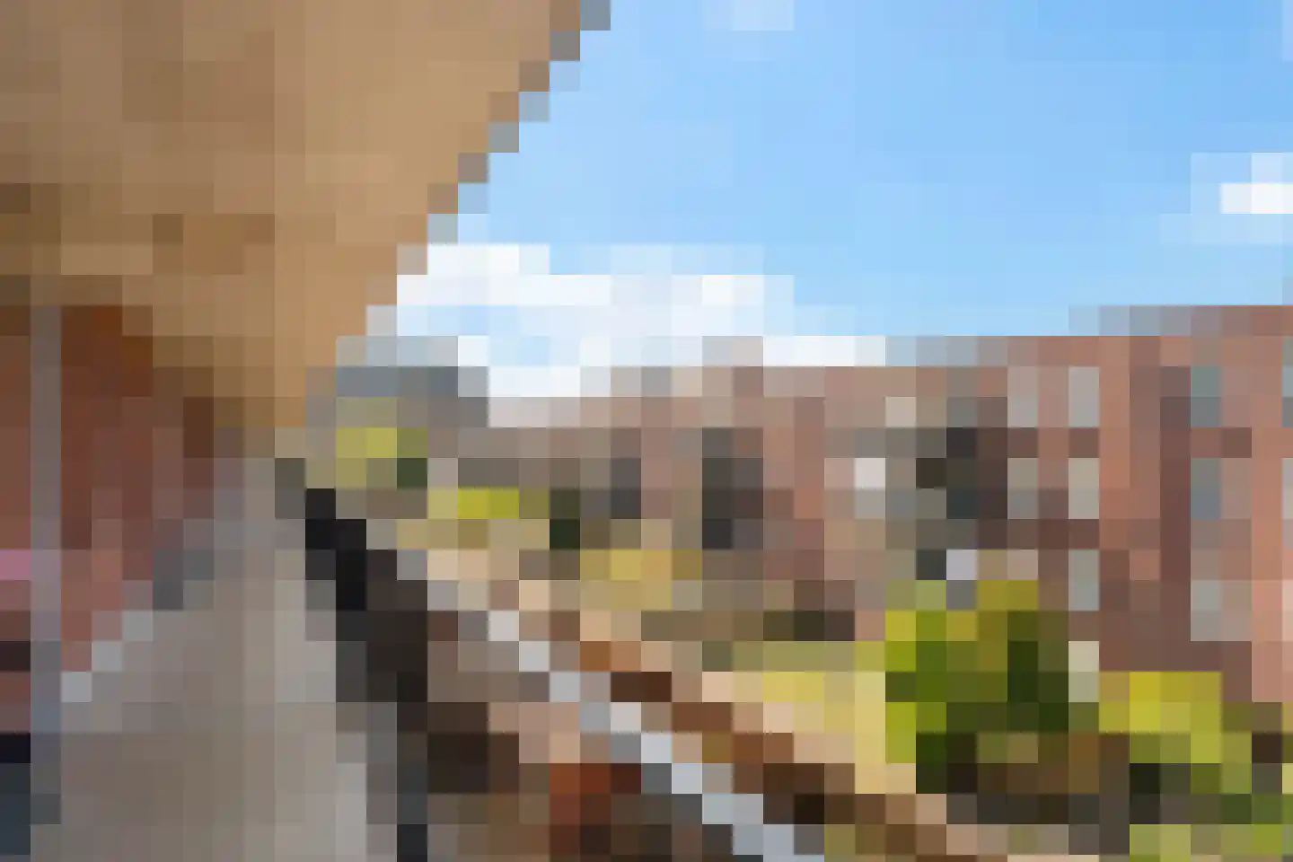 Hoefkade 551 Den Haag thumbnail 7