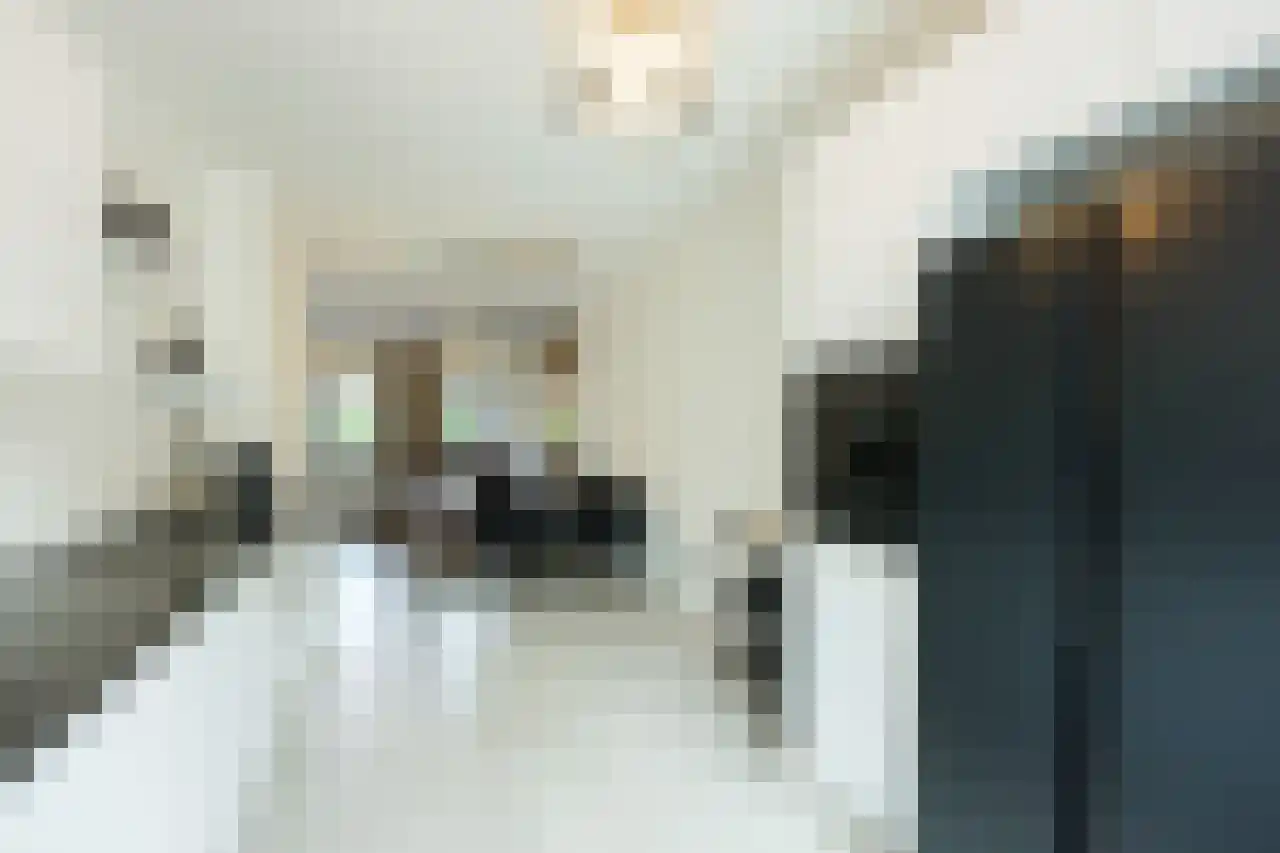Hoefkade 659 Den Haag thumbnail 7