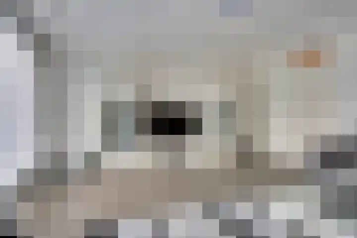 Hoefkade 717 Den Haag thumbnail 11