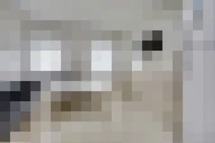Hoefkade 717 Den Haag thumbnail 16